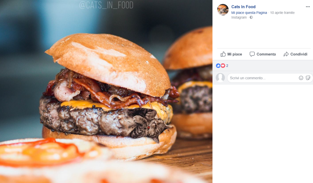 Vi è mai capitato di addormentarvi mentre mangiavate un hamburger?