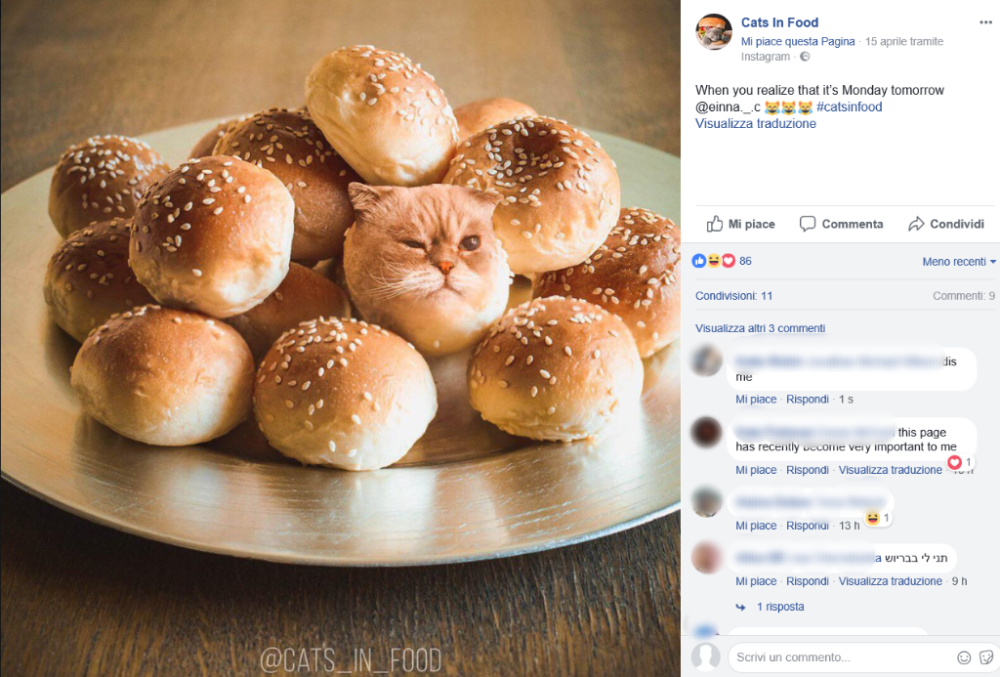 I panini al latte sono sempre presenti nelle feste dei più piccoli