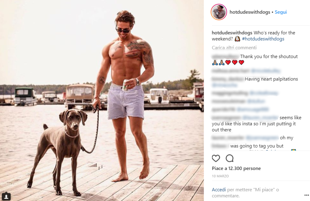 Passereste ore a guardare foto di cuccioli (e anche di bei ragazzi)?