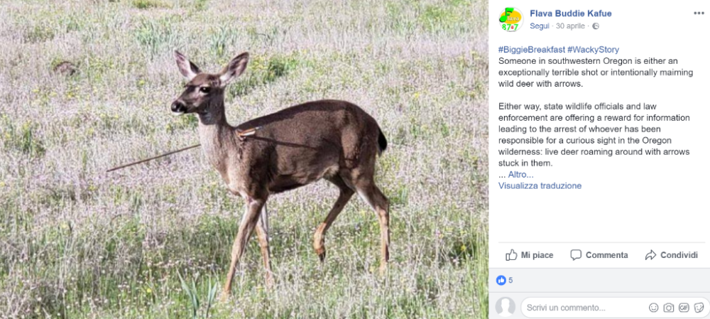 Ci auguriamo che gli animali possano essere aiutati rapidamente
