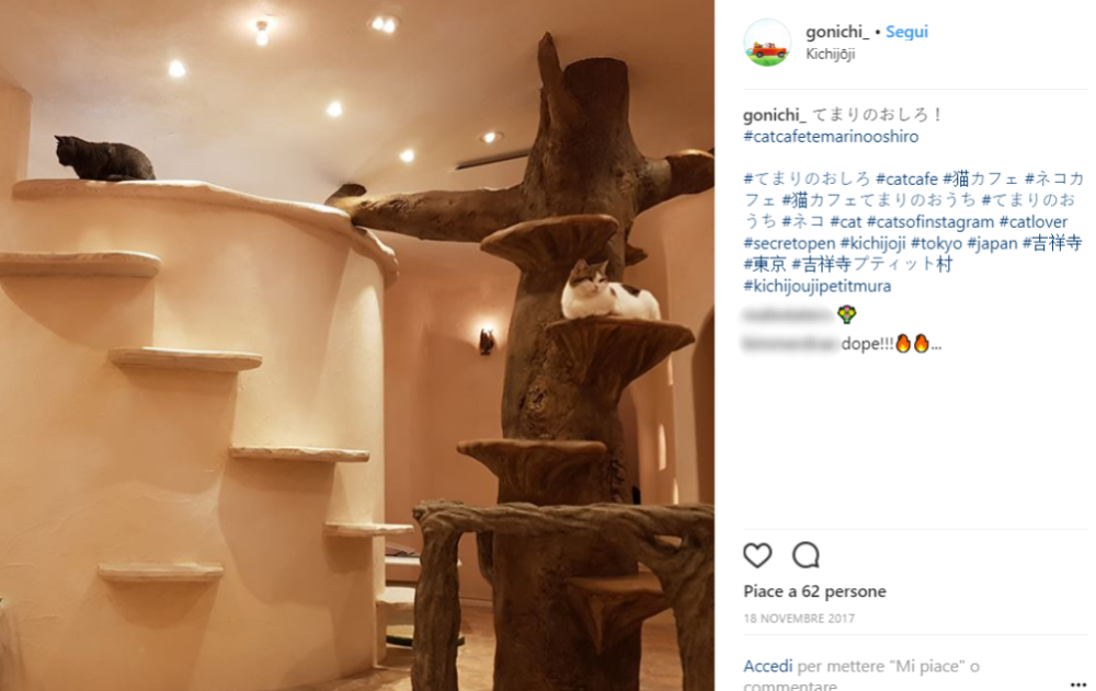 Le regole per poter visitare il villaggio?