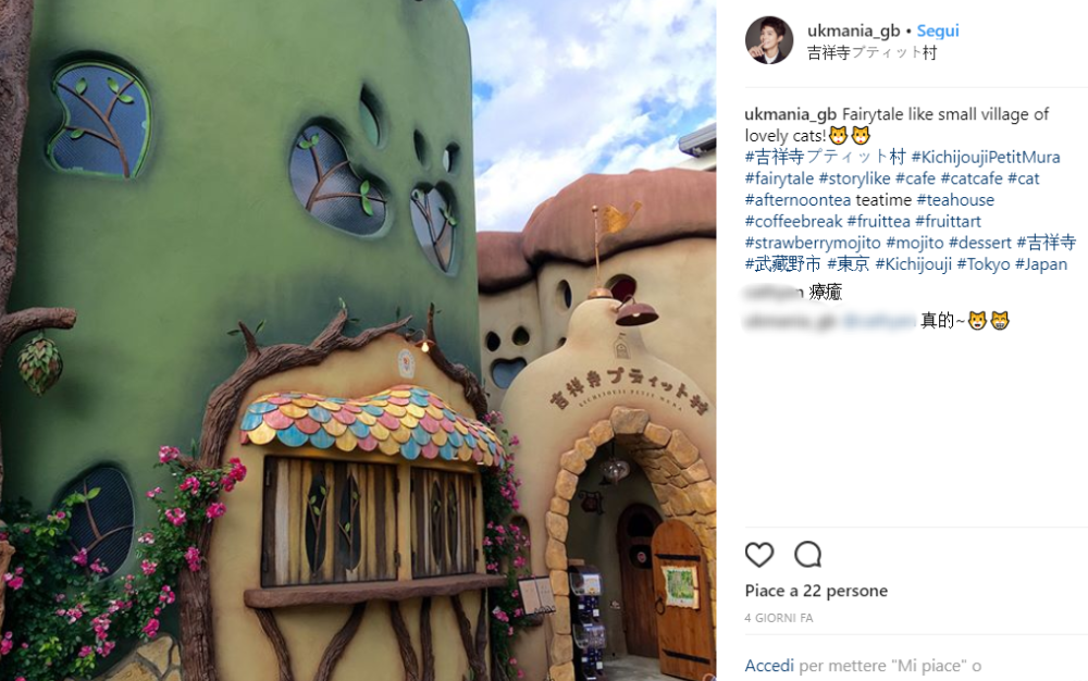 Ciò che colpisce sono le architetture del “Kichijoji Petit Mura”