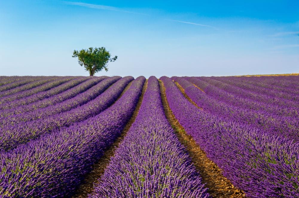 Quinta meta consigliata è la Provenza in Francia