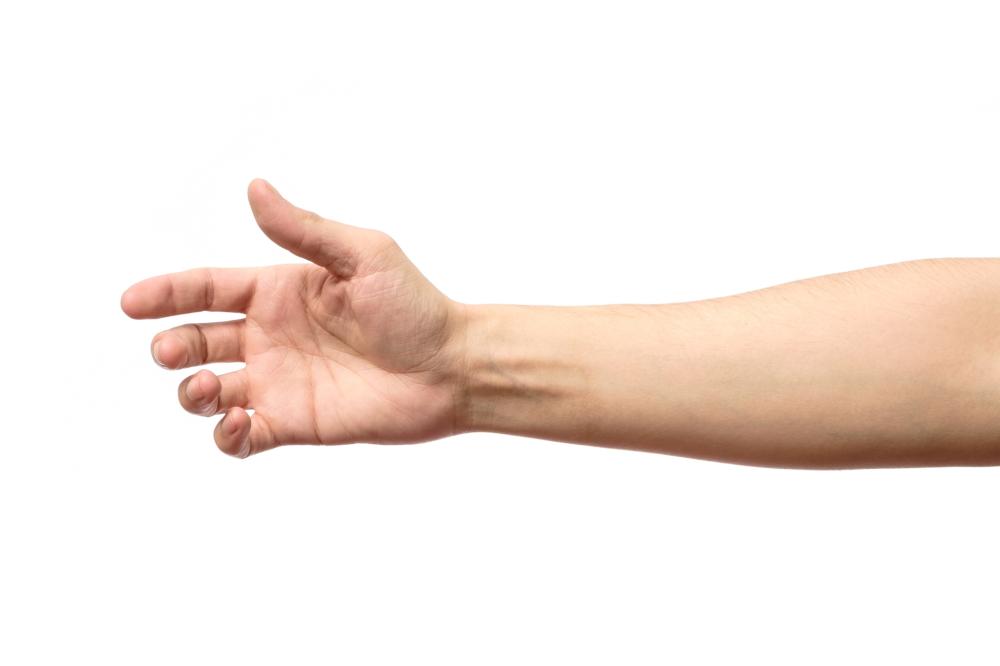 Il muscolo palmaris è prossimo alla scomparsa