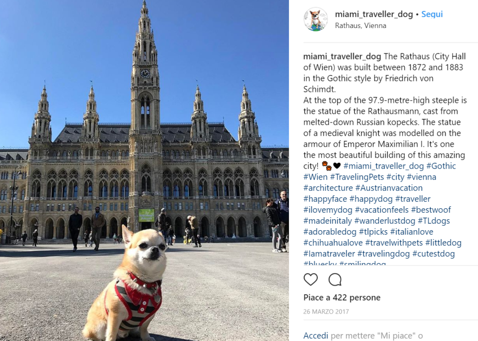 Vienna: città d’arte e di cultura…
