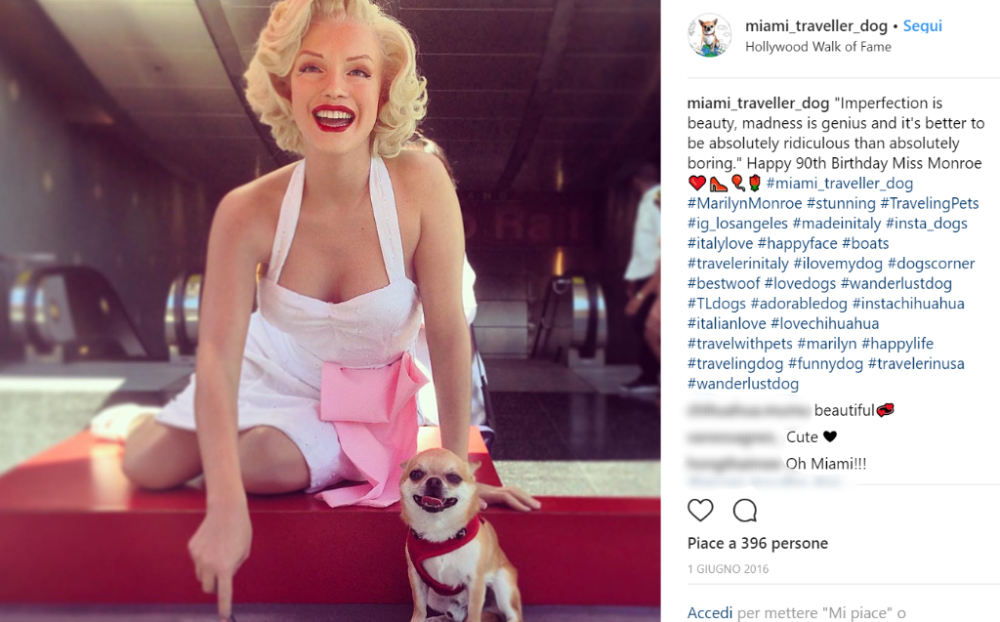 Miami è stato anche a Hollywood