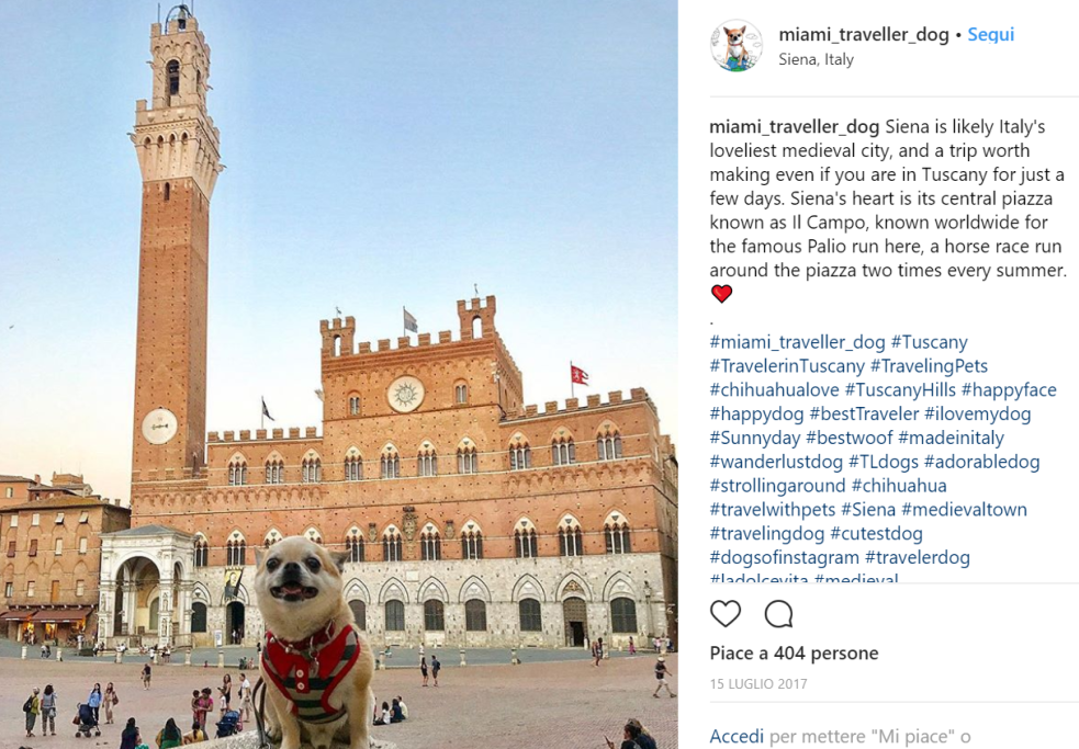 Dalle sue foto si capisce bene