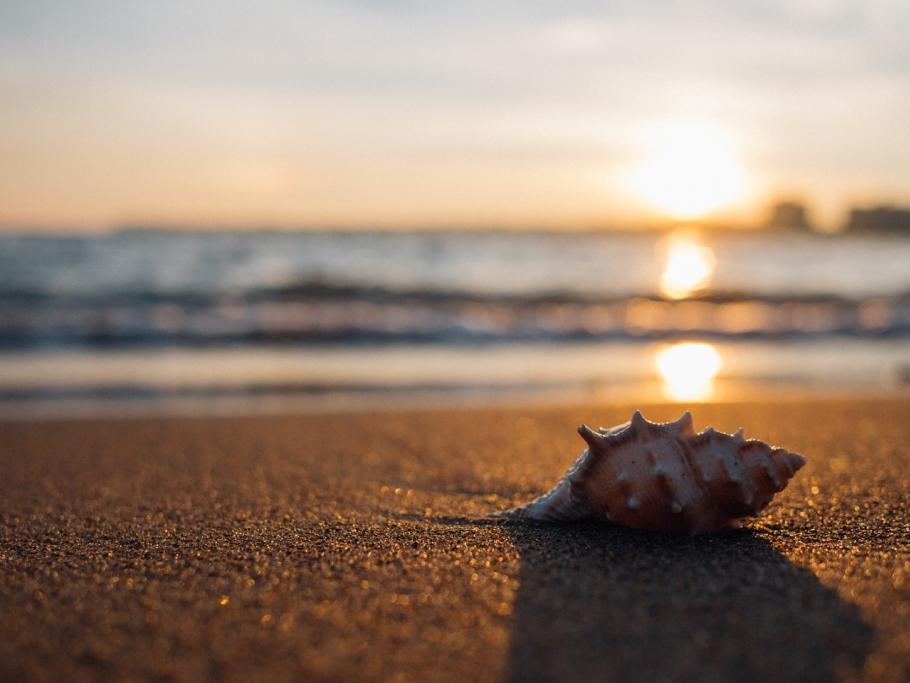 Non portate via nulla dalla spiaggia