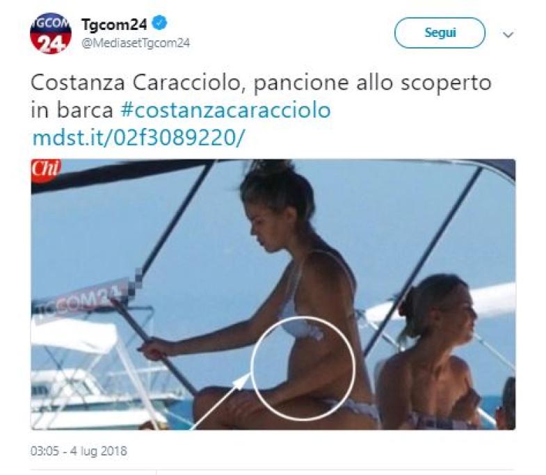 Pancino in libertà