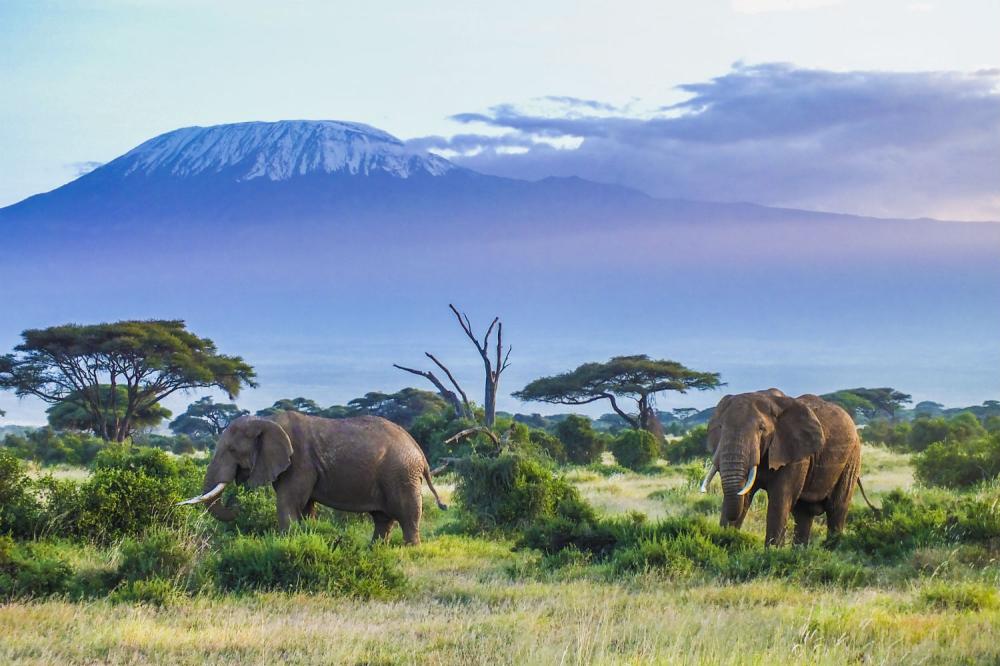 Verso la Tanzania