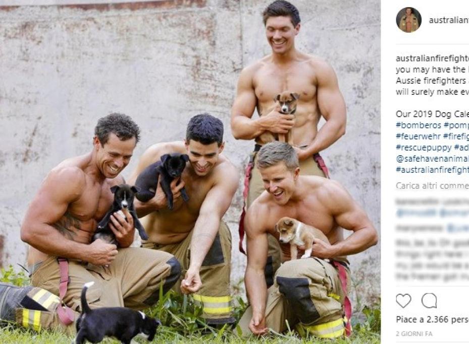 Cuccioli e muscoli