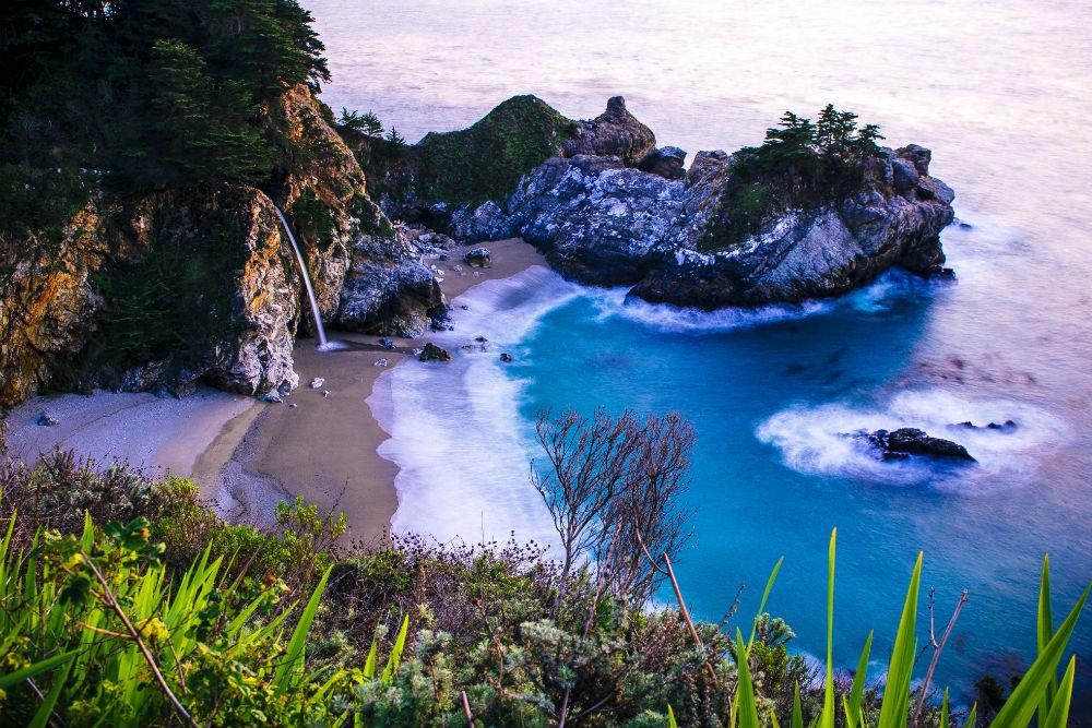 Viola: Pfeiffer Beach, California