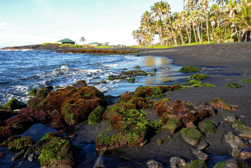 Nero: Punalu’u, Hawaii