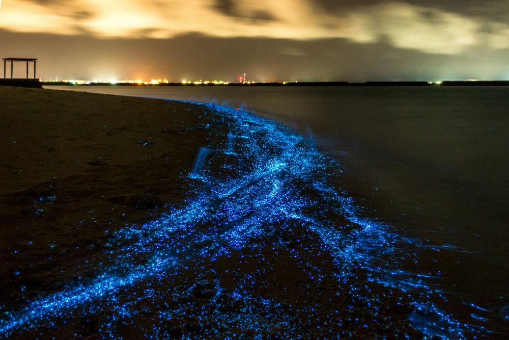 Blu: Vaadhoo, Maldive