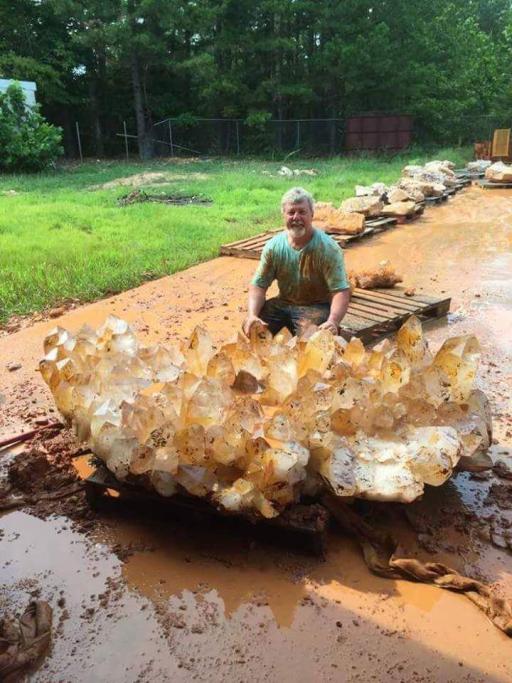 Quest’uomo in Arkansas è stato fortunato: