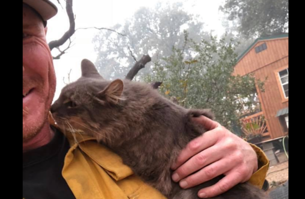 In questi giorni il pompiere è molto impegnato nelle operazioni di soccorso a causa dell'incendio in California