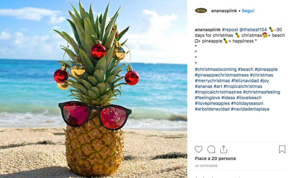 L'ananas è un frutto tropicale che in genere associamo all'idea di mare ed estate