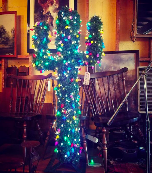 L'albero "desertico"