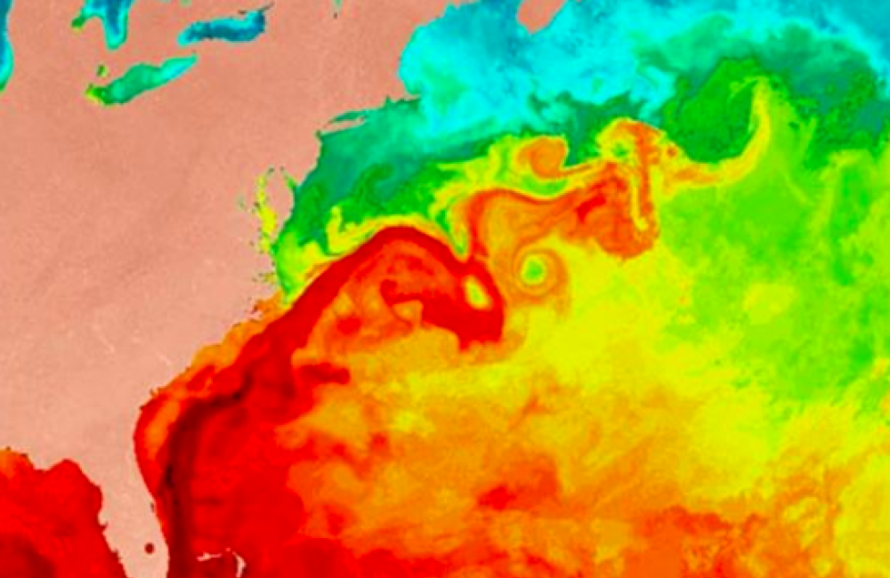 3 – La Corrente del Golfo: il flusso si è indebolito del 15-20%