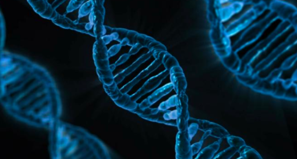 1 – Le due gemelline cinesi nate con il DNA modificato