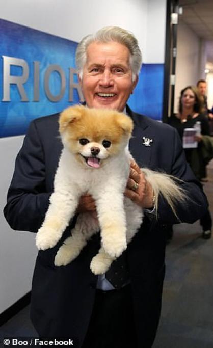 Ecco invece Boo in braccio al famoso attore americano Martin Sheen.