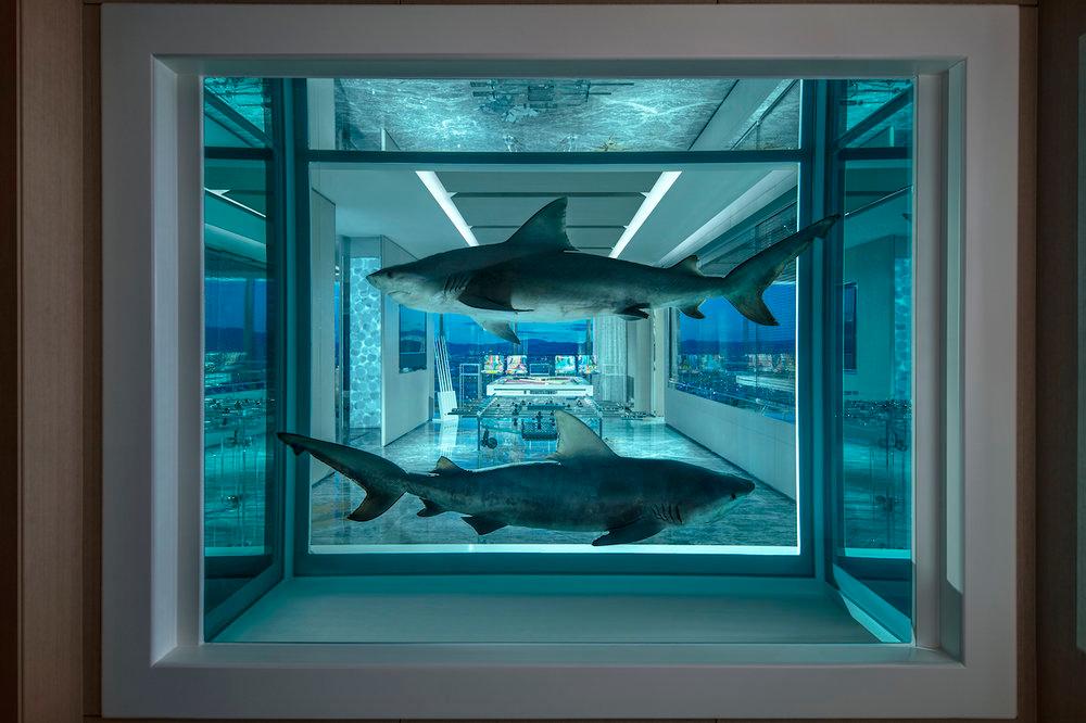 Ci sono anche i famosi squali in formaldeide di Hirst