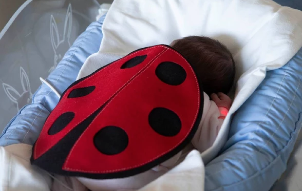 C'è la coccinella 