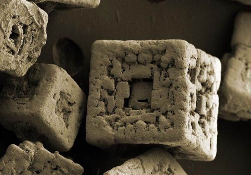 Questi sono cristalli di sale al microscopio