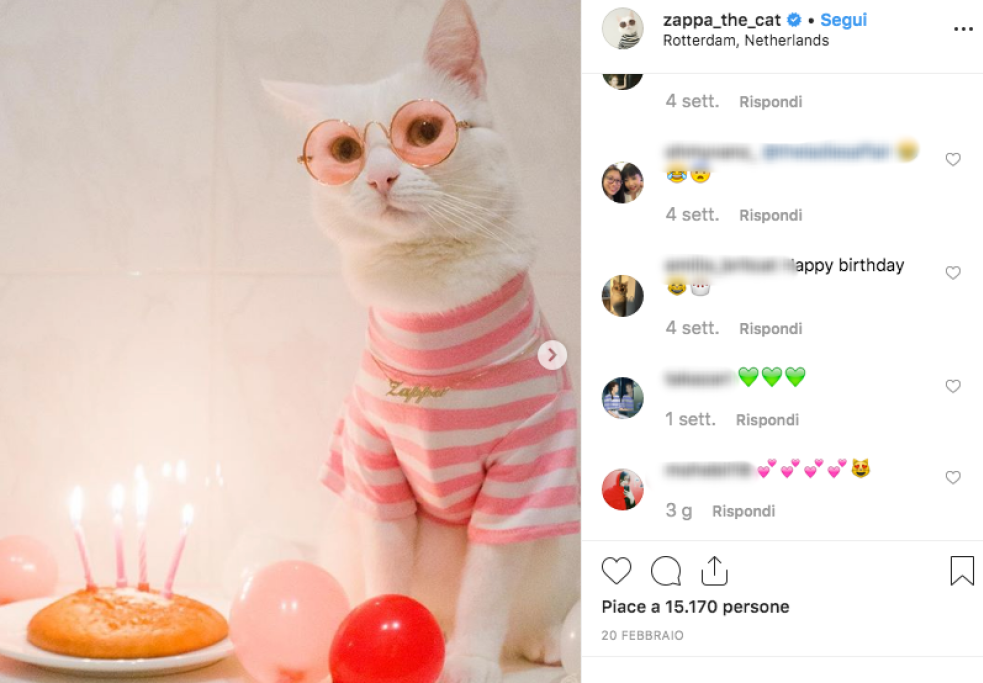 È meraviglioso con gli occhiali
