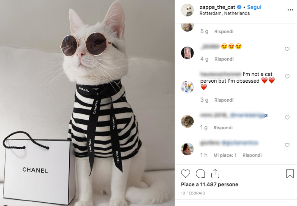 Profilo fiero e atteggiamento elegante