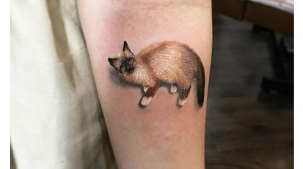 Tante persone si sono fatte tatuare il proprio gatto sul braccio