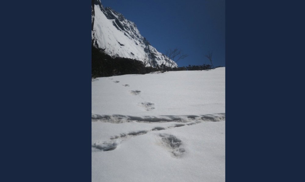 "Guardando le foto, deduco che lo Yeti giocasse a Langdi taang (la campana indiana)"