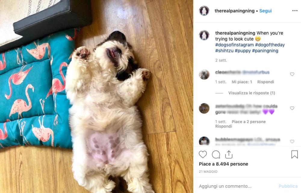 Il successo per Paningning è arrivato ben presto