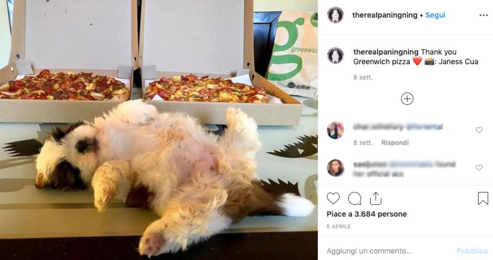 E niente... neanche la pizza 