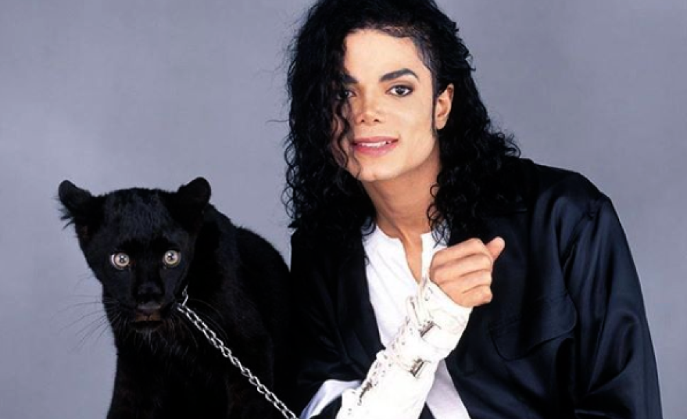 Tutti sanno che Jackson amava gli animali, ma non tutti sono a conoscenza che aveva: 