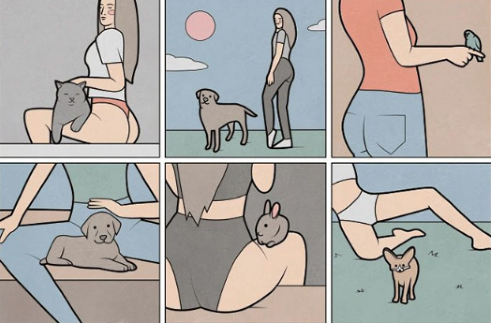 Animali