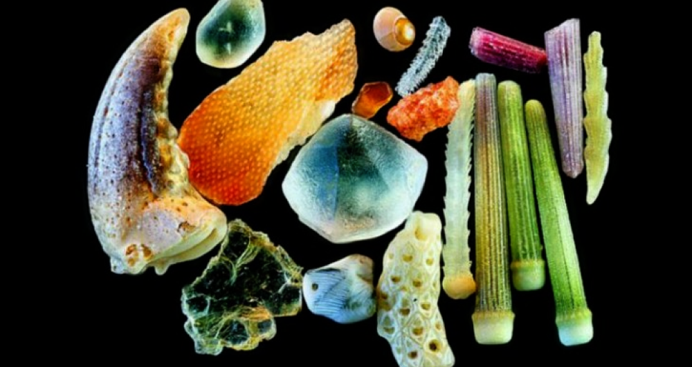 Questi sono i granelli di sabbia visti al microscopio