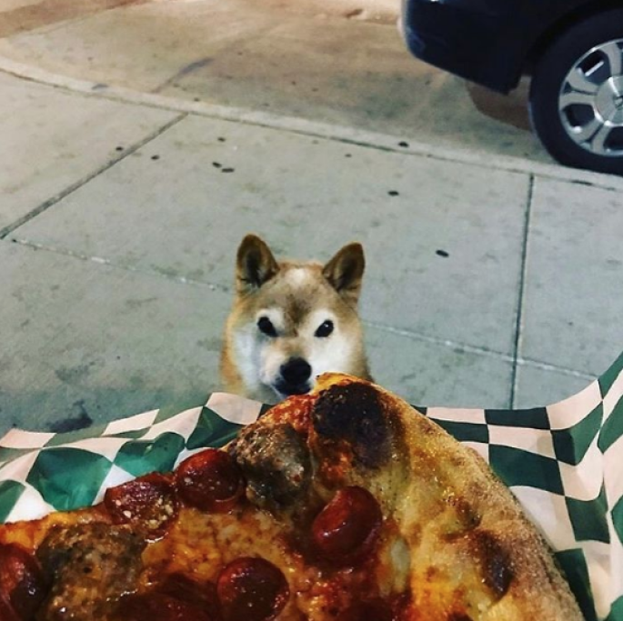 Nemmeno il cibo sembra far tornare il buon umore al piccolo Chester.