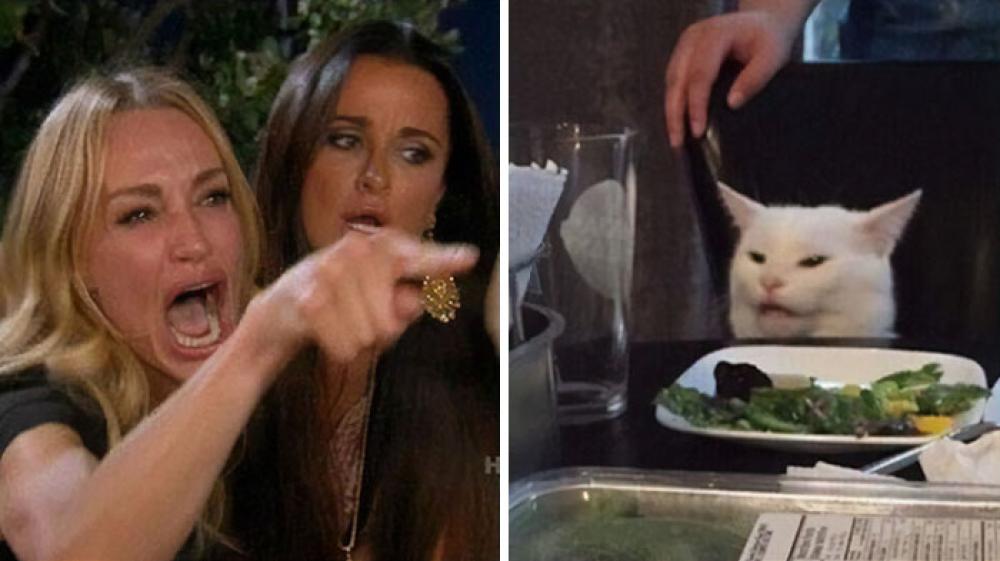 Ecco il meme che ha reso famoso Smudge