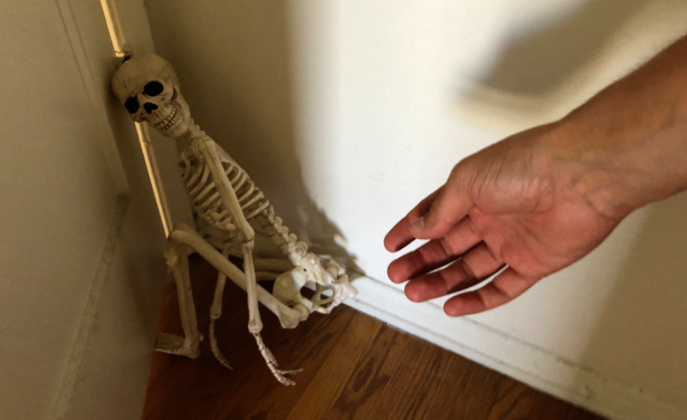 Quando lo scheletro è arrivato a casa