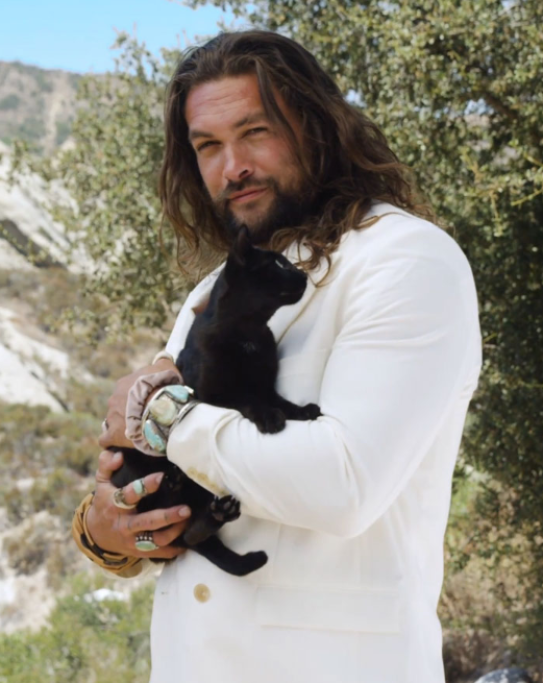 Ecco la foto che ha fatto impazzire i follower di Jason Momoa. L’attore ama molto gli animali e infatti ha anche due cani.