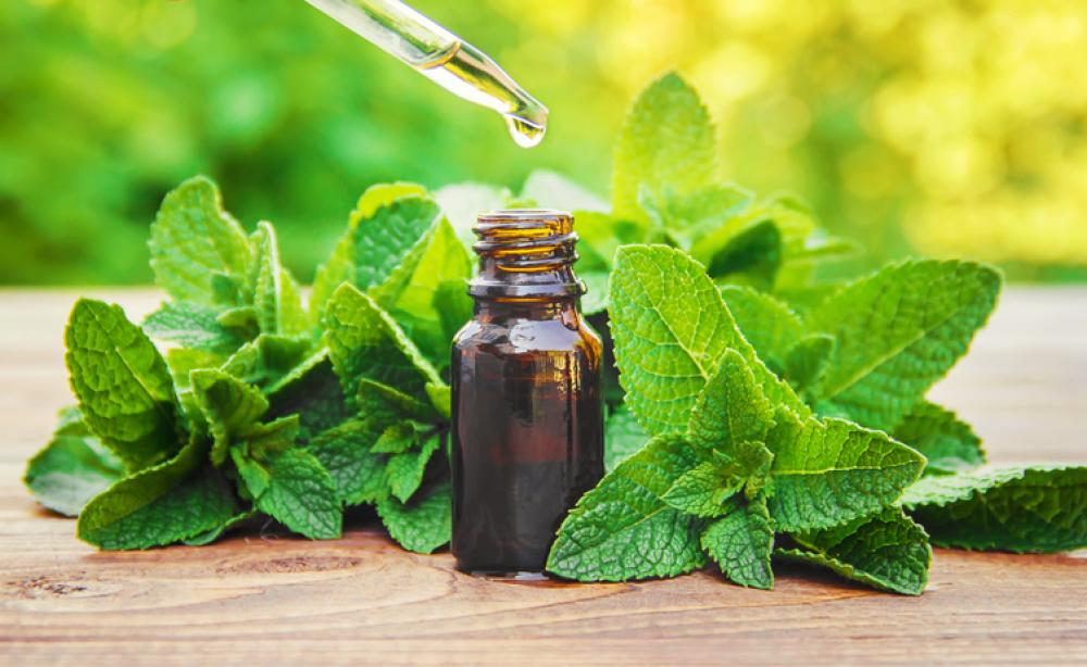 Essenza di menta piperita