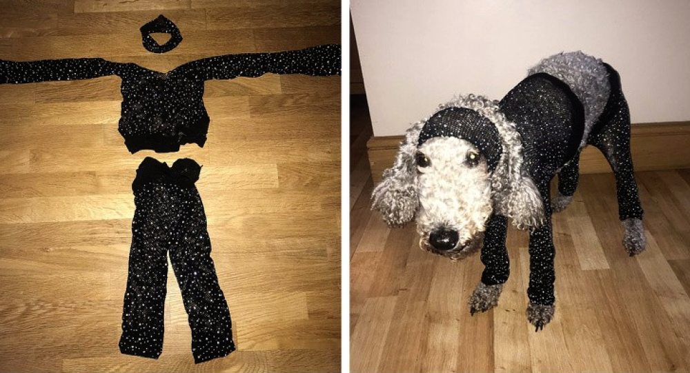 Pensava di aver comprato un vestito fashion e invece sta bene al cane