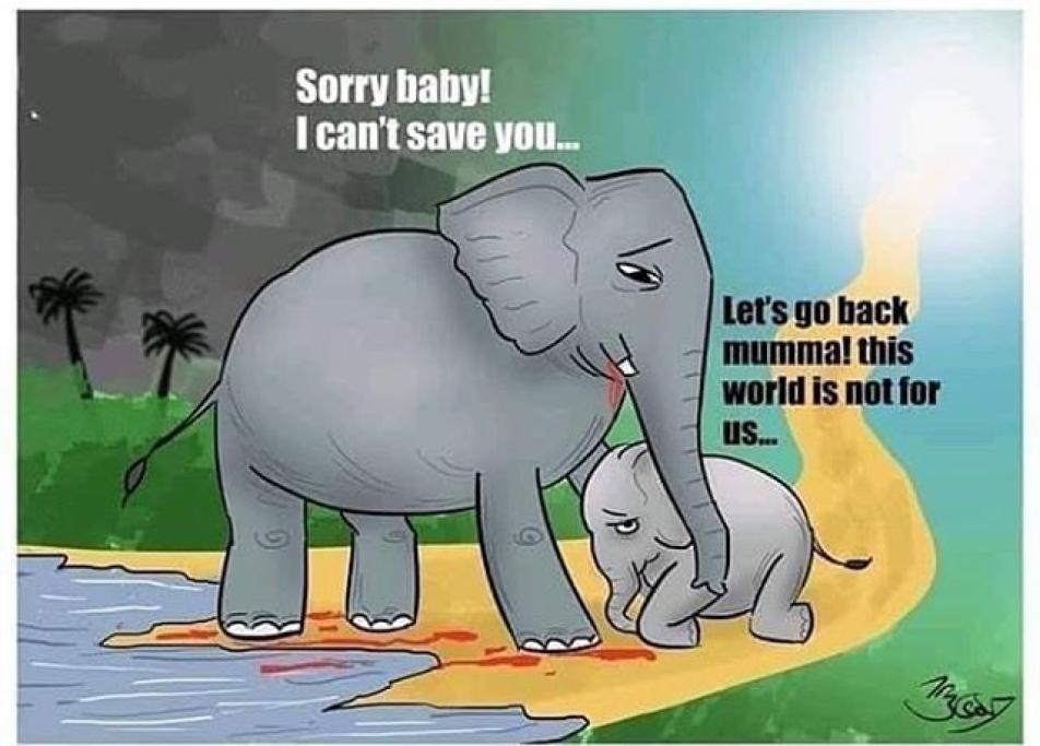 Sorry Baby!
