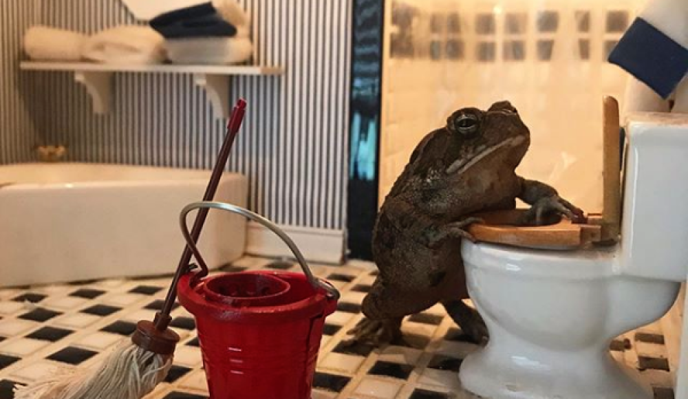 Toby pulisce il bagno