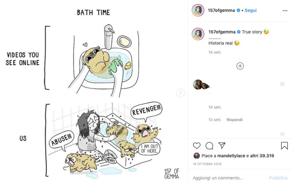 Fare il bagno al proprio cane