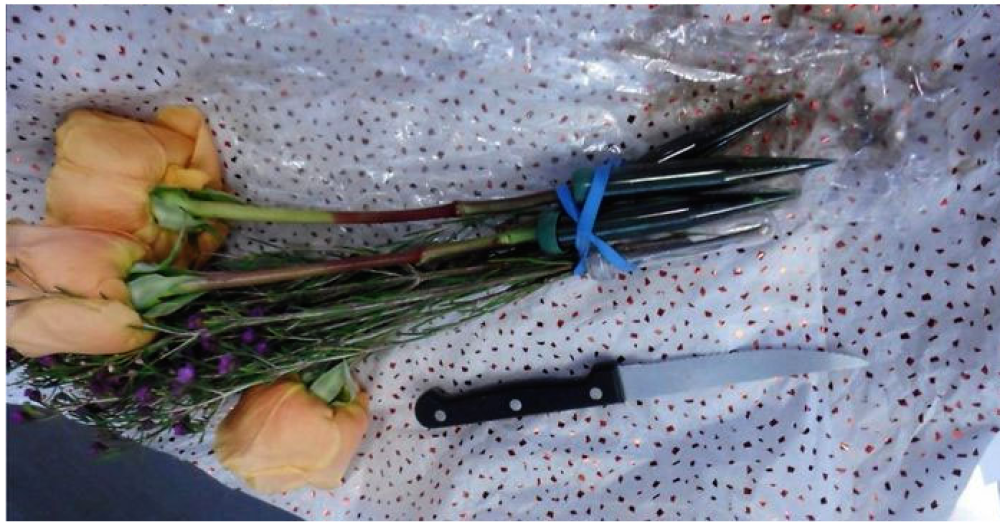 Un coltello tra i fiori
