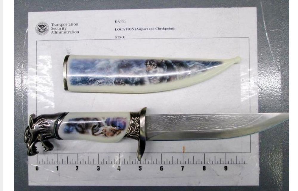 Gli agenti hanno fermato un uomo che voleva far salire in aereo 