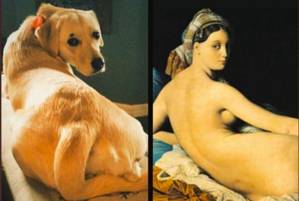 Jean-Auguste-Dominique Ingres. La grande odalisca, 1814