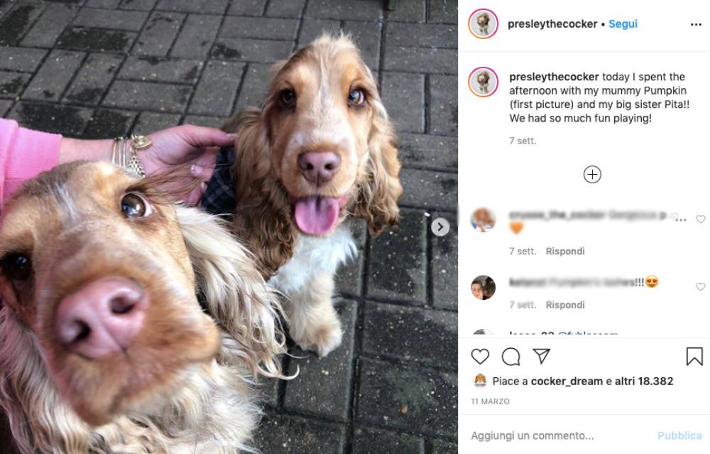 Winnie ha un fratellino di nome Presley